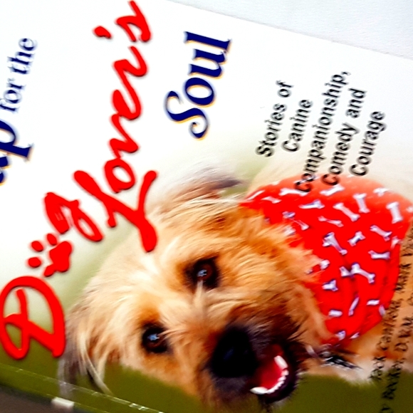 Chicken Soup Book - Picture 2 of 5